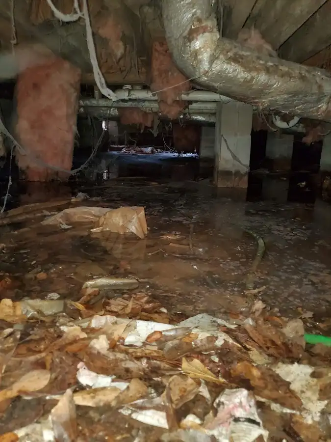 Crawl space flood assessment for Leak Detection & Repair in Louisville